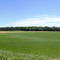 The Grass is Always Greener...on a Sod Farm! Ham Lake, Minnesota