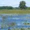 Carlos Avery State Wildlife Management Area, on the border between Linwood and Columbus, Minnesota