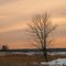 Carlos Avery State Wildlife Management Area, Linwood, Minnesota