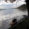Above the Mouth of Salt River on the Mississippi