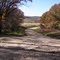 Rural Pike County Road