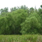 Squaw Creek NWR