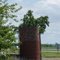 Mound City, Mo: Tree Within the Silo