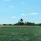Fields
