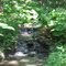 Small Stream - Powell Gardens - Kingsville, MO