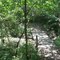 Byron Shutz Nature Trail - 1st Bridge