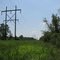 Power Lines - Byron Shutz Nature Trail