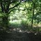 Byron Shutz Nature Trail - 2.6 miles