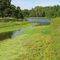 Powell Gardens Lake