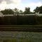 Old rail tank cars at Pelahatchie siding