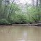 A cut through on Pelahatchie Creek