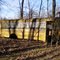 '50 School bus