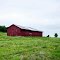 Big Red - Barn