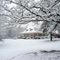 February 2010 Snow