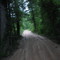 Green Eddie Road 2