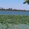 Crittenden County Arkansas http://www.crittendencountyarkansas.com/