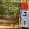 Mile 31 of the Kal-Haven Trail