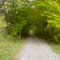 The Kal-Haven Trail in mid-October