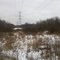 Marsh