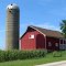 Red Barn w/ silo shadow