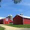 Red Barns