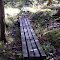 FLT B1 Mile 16.8 Puncheon 3 sections 4-4x4x10', 18in wide on 2-6x6 sills