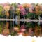 Round Pond in Fall
