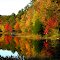 Fall Reflection