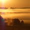sunrise over barn on a foggy morning