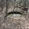 documented CCC fire pond N-side Rathbun Hill Rd stand A-4 Triangle State Forest fall 2006