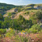 July wildflowers at Indian Hills, above the Missouri River