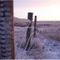 Hoar Frost