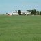 The Farm