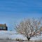 Photo taken in Strandahl, ND, USA