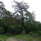 slough at Cat Island