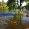 2011 flood