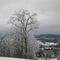 Icy Morning