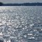 Winter Regatta