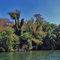 Lake Norman