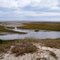 Low Water at Bear Island (Atlantic in Backdrop)