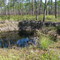 Bob's Sinkhole Patsy's Pond Trail