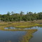 Cedar Point Tidal Trail Croatan National Forest