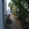 lovely sheltered corridor between buildings at Plant Delights Nursery, 3-7-09