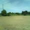 long run farm road new mown fields