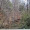 Little Bear Creek