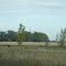 Wyndmere Tower Site