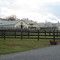 Market Street Stables on Spring Hill Rd