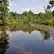 Oldmans Creek at Oldmans Creek Preserve