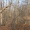 Oldmans Creek Preserve, Winter