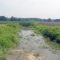 Oldmans Creek Tributary Above Vestry Road